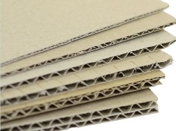 INFORMĀCIJA PAR KARTONU